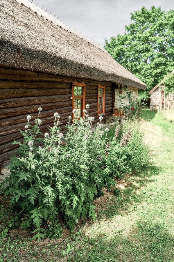 Matsi Cottage Igakula Ngoại thất bức ảnh